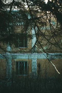 Close up abandoned multi storey building with overgrown fir branches concept  Stock Photos