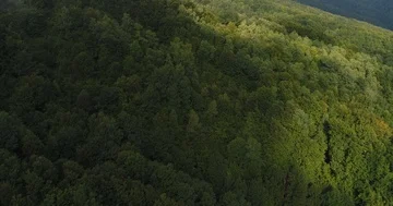 Close-up above view of the flying copter over the sunny green mountains covered Stock Footage 85897224