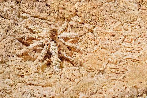 Close-up abstract background of decorative elements from below. Interior Stock Photos