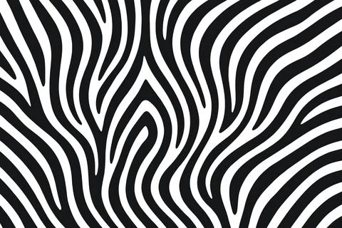 Close up abstract black and white zebra stripes pattern texture イラスト素材