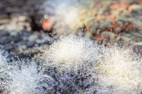 Close-up of abstract dew drops on a dry plant on a web with variable focus an Stock Photos