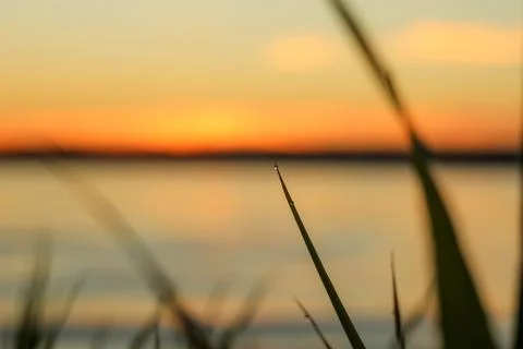 Close-up of abstract dew drops on grass with variable focus and blurred backg Stock Photos