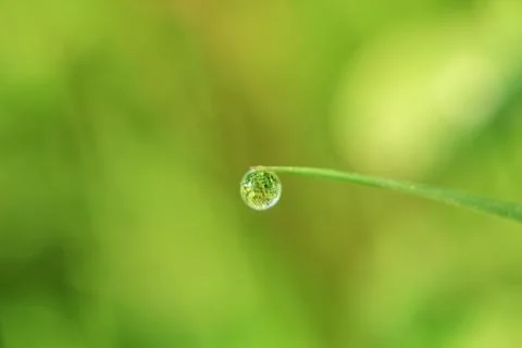 Close-up of abstract dew drops on grass with variable focus and blurred backg Stock Photos