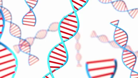 Close up abstract DNA stand in red and blue, helix structure, genetic research Stock Footage 323856850