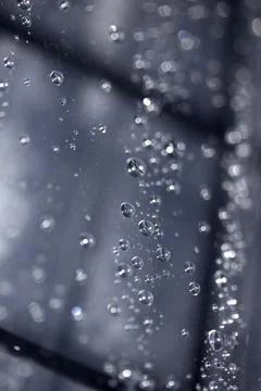 Close up of abstract floating bubbles water droplets condensation rain on a.. Stock Photos