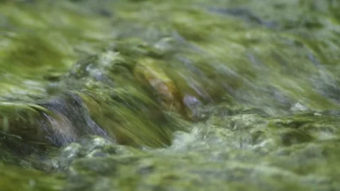 Close up abstract flowing water over stones bubbles and energy Stock Footage 137289541