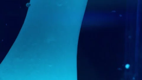 Close up abstract macro shots of blue lava lamp background Video stock 267312931
