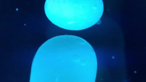 Close up abstract macro shots of blue lava lamp background Video stock 267312932