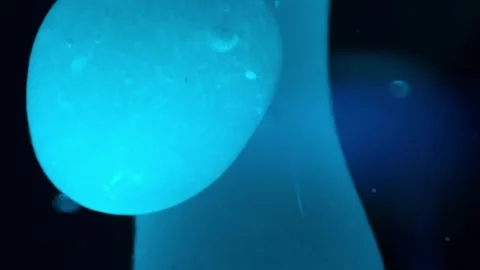 Close up abstract macro shots of blue lava lamp background Video stock 267314290