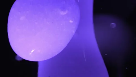 Close up abstract macro shots of purple lava lamp background Stock Footage 267316572