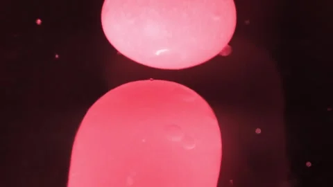 Close up abstract macro shots of red lava lamp background Stock Footage 267320878