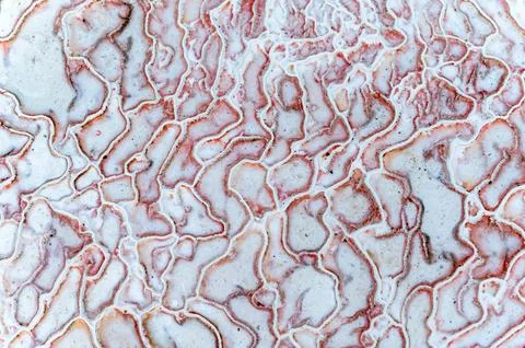 Close up abstract macro texture of travertine in Pamukkale Foto stock