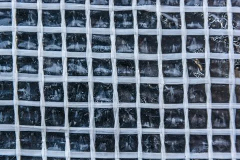 Close up abstract pattern of plastic net Stock Photos