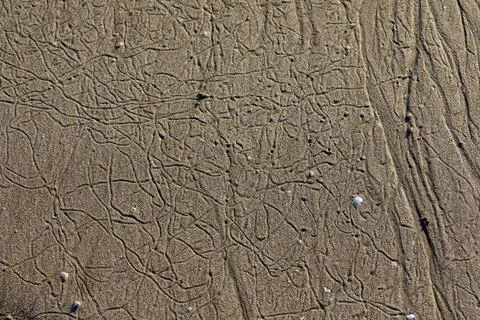 Close-up abstract pattern of wet sand on a beach Stock Photos