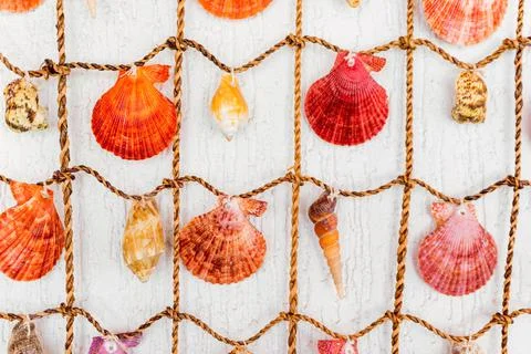 Close-up abstract shell background on a fish-net and white wooden background. Stock Photos
