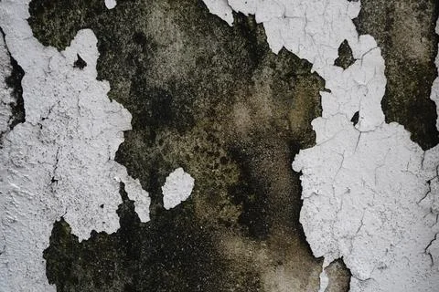 Close-up abstract texture of peeling white paint on a weathered grimy concrete 스톡 사진