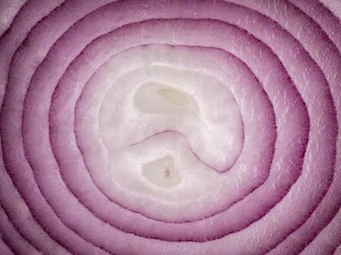 Close up abstract view of natural circular layers inside a sliced red onion 写真素材