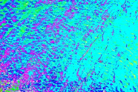 Close-up of an abstract water surface. . The texture of the water. Changed co Stock Photos