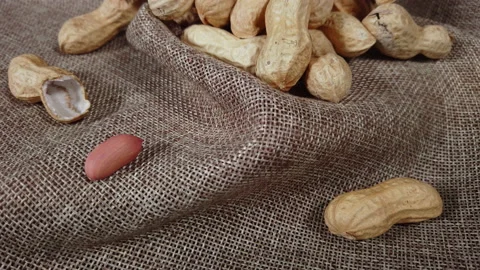 A close-up of an abundant, full frame of fresh and healthy brown nuts and seeds. Stock Footage 238640540