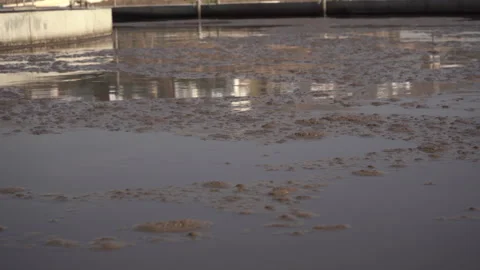 Close-Up of Activated Sludge and Organic Waste in Wastewater Treatment Tank Vídeos de archivo 334881790