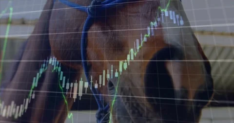 Close-up activating grid overlay, brown horse muzzle showing rising bars at +6 Stock Footage 327846832