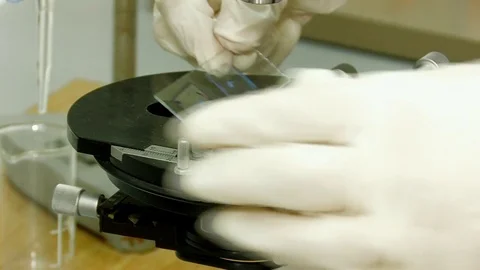 Close-up. Adjust the microscope in the laboratory Stock Footage 82702573