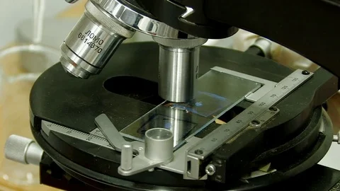 Close-up. Adjust the microscope in the laboratory Stock Footage 82702576