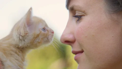 CLOSE UP: Adorable orange tabby kitten meows and touches the young woman's nose. Stock Footage 100921275