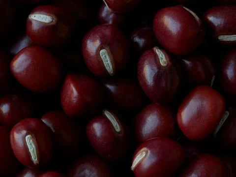 Close-up of Adzuki Beans, Vigna angularis, Selected Focus Fotos Stock