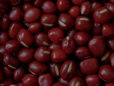 Close-up of Adzuki Beans, Vigna angularis Foto stock