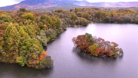 Close up Aerial of Colorful Autumn Trees on Lake Onogawa Island Stock Footage 329053923