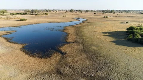 Close-up aerial fly over view of the waterways of the Okavango Delta Stock Footage 118290789