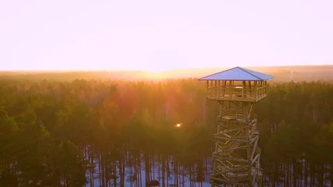 Close aerial fly by the watchtower in the forest during sunset Stock Footage 101828273