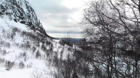 Close aerial flyby winter trees revealing valley and fjord below winter Stock Footage 145676934