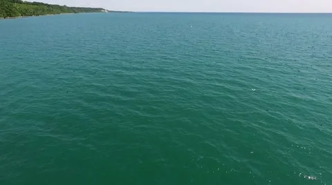 CLOSE AERIAL FLYING OVER MIGRATING BIRDS Stock Footage 52494850