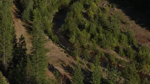 Close up Aerial of forest and hillside in Shoshone County Idaho in spring Vídeos de archivo 336680340