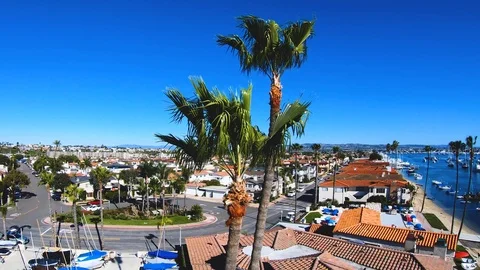 Close up aerial palm trees aerial Stock Footage