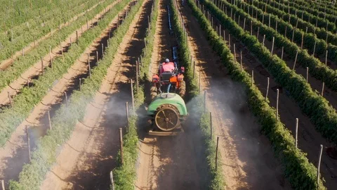 Close-up aerial rear view of a tractor spraying pesticide onto tomatoes on a Stock Footage 112983449