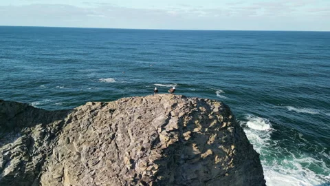 Close-Up Aerial Rotating View of 2 Bald Eagles on Top of Sunny Twin Rocks Arch Stock Footage 228747150