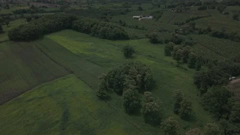 Close Aerial of Tree Plantation Rows, Green Pasture Plots and Farm Huts, Tr.. Stock Footage 337885285