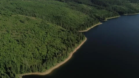 Close Aerial View of Forest Meeting Dark Lake Waters - Beliș-Fântânele, Romania Stock Footage 345512682