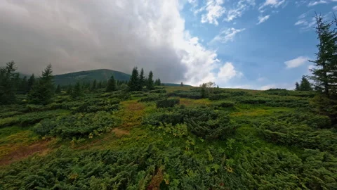 Close up aerial view going up by hill to the top of the mountain. Ukraine Video stock 186113760