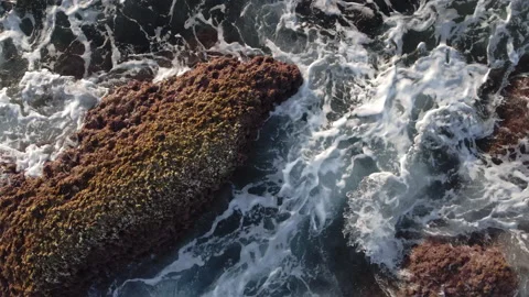 Close Up Aerial View of Ocean Waves Splash Against Rocks and Foaming. Fresh Aqua Stock Footage 168170893