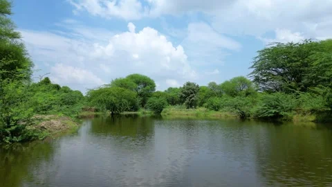 Close Aerial View of Pond Surrounded by Greenery Stock Footage 310488027