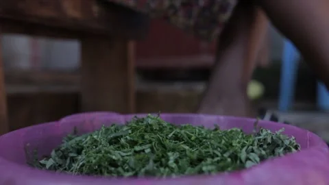 Close up of African Kale Stock Footage 231273353