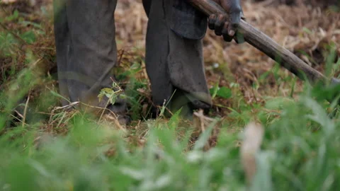Close Up of African Man digging the ground. Slow Motion Stock Footage 194532005