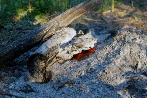 Close up of the aftermath of a fire Stock Photos