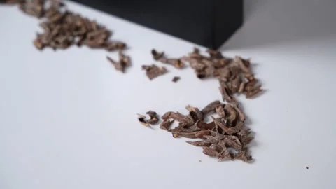 Close up agarwood oud chips on white surface Stock-Footage 336643778