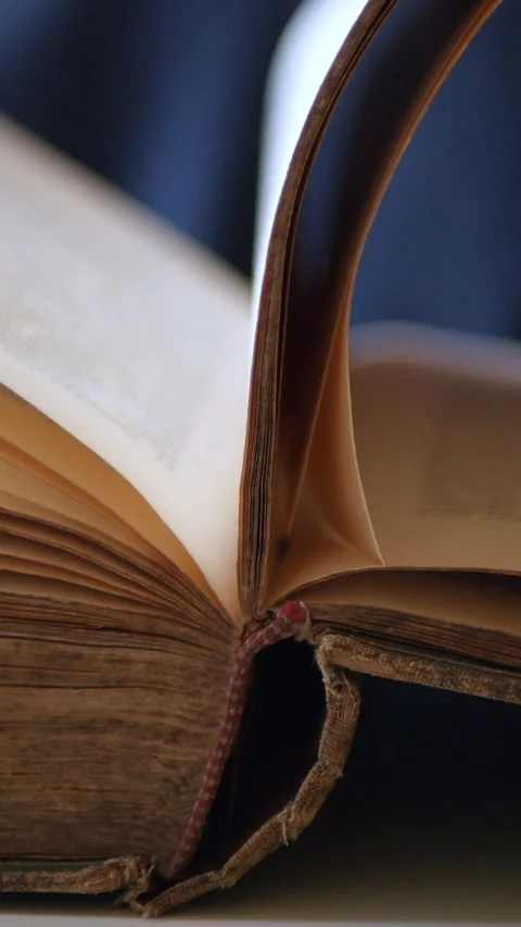 Close-Up Of An Aged Book With Pages Being Turned Stock Footage 302540757