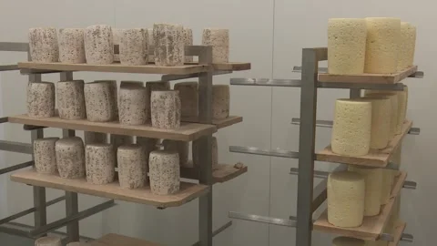 Close-up of aged cheese wheels with natural rind on a shelf detailed view 스톡 동영상 337060732